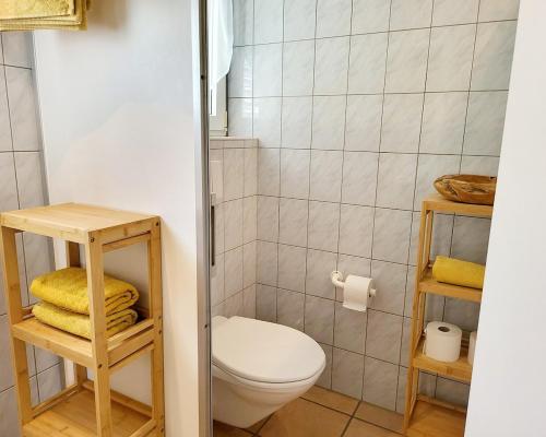 a bathroom with a toilet and some towels at Terre di Pedemonte Centovalli am Strand von Tegna in Tegna