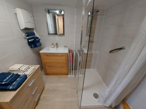 a bathroom with a shower and a sink at La Maison Kouglof in Nordheim