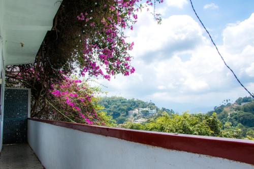 a bunch of pink flowers on a wall at Blinkbonnie Inn in Kandy