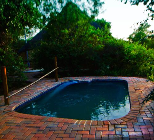 a small swimming pool on a brick patio at Big Tuskers Bush Camp in Marloth Park