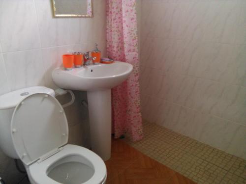 a bathroom with a white toilet and a sink at Damontanha in Ribeira Grande