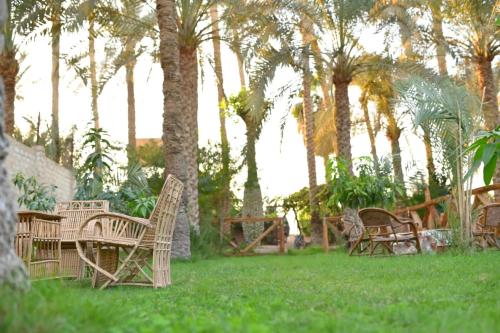 Φωτογραφία από το άλμπουμ του ريف واحه دهشور σε Al Qal‘ah