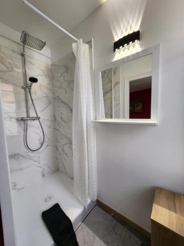 ein weißes Badezimmer mit Dusche und Spiegel in der Unterkunft Maison Bö in Bossancourt