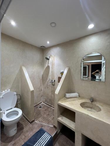a bathroom with a toilet and a shower and a sink at Nomad Surf Hotel in Tamraght Ouzdar