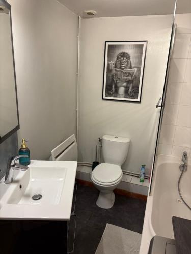 Un baño con un inodoro blanco y un lavabo. en Le Cocon Chalonnais, en Châlons-en-Champagne