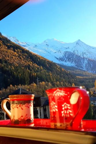 Le Chamois 5E Balcon panoramique MontBlanc avec parking gratuit