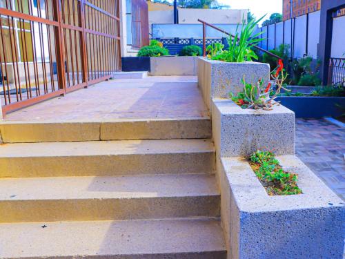 a set of stairs with some plants on them at E Point guest house in Johannesburg