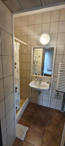 a bathroom with a sink and a mirror at U TKOCZA Agroturystyka in Wisła