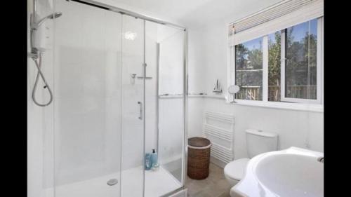 a bathroom with a shower and a toilet and a sink at Grace Cottage-a 4 bedroom period cottage in Teignmouth