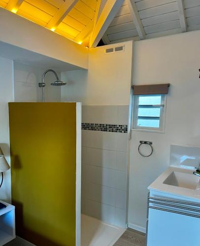 a bathroom with a shower and a sink at La Papaye d’Or in Saint-François
