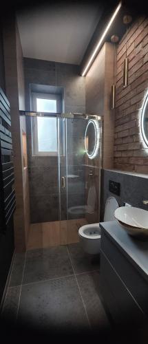 a bathroom with a shower and a toilet and a sink at Apartament centrum - loft Plac Piłsudskiego in Gliwice
