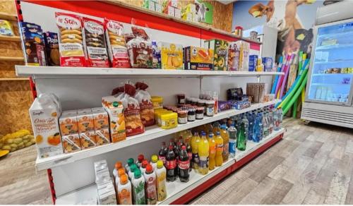 une étagère remplie de nombreux types de boissons différents dans l'établissement DOMA Mobil home 3 chambres Litteau, à Litteau