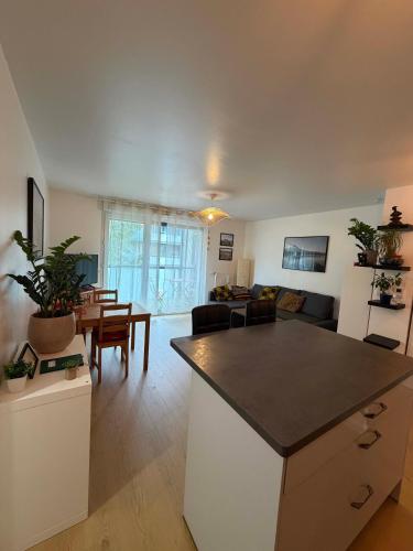 Appartement rue Hatt