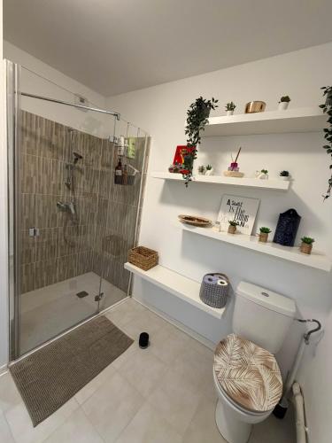 Appartement rue Hatt