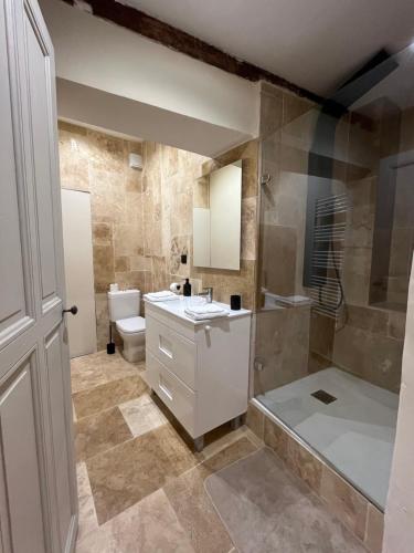 een badkamer met wastafel, douche en toilet bij Logement studio avec vue sur le centre Historique in LʼIsle-sur-la-Sorgue