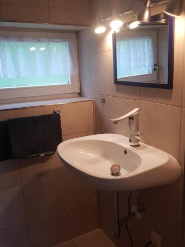 a bathroom with a white sink and a mirror at Ferienhaus Haigrub in Perasdorf