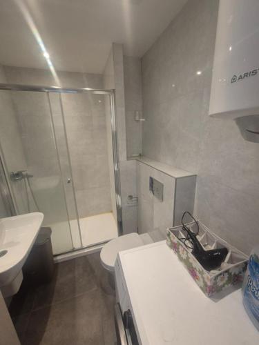 a bathroom with a shower and a toilet and a sink at FONTANA FRONT of SEA APARTMENT in Budva