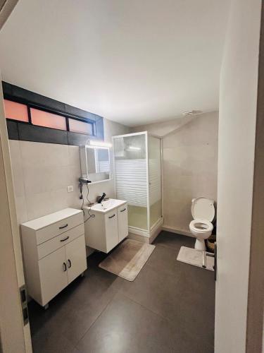 a bathroom with a toilet and a sink at Au Bord du Logelbach in Colmar