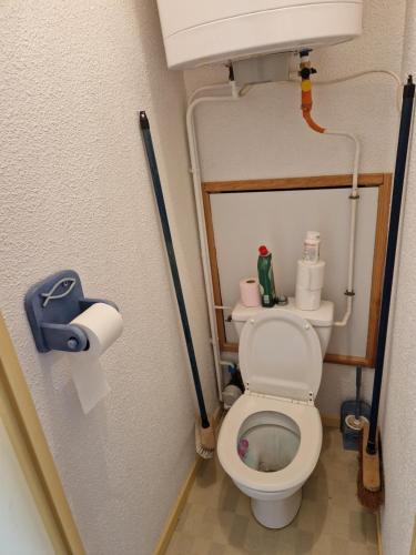 a small bathroom with a toilet and a roll of toilet paper at T2 familial climatisé mer à pied parking privé in Saint Cyprien Plage