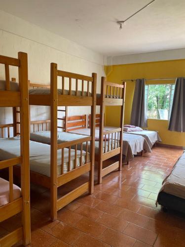 a room with four bunk beds in a room at Suíte rural in Foz do Iguaçu