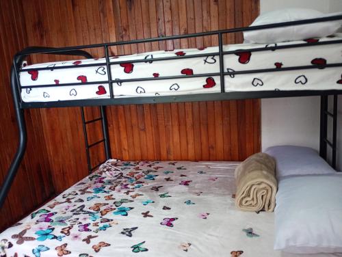 a bunk bed with apples on the bottom bunk at Cabaña cielo celeste in Rio Celeste