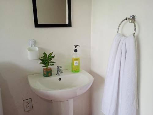 Koupelna v ubytování La casa de Río Celeste