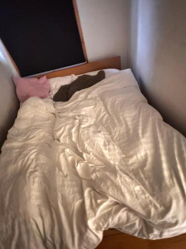 Ένα ή περισσότερα κρεβάτια σε δωμάτιο στο Guesthouse Centrum