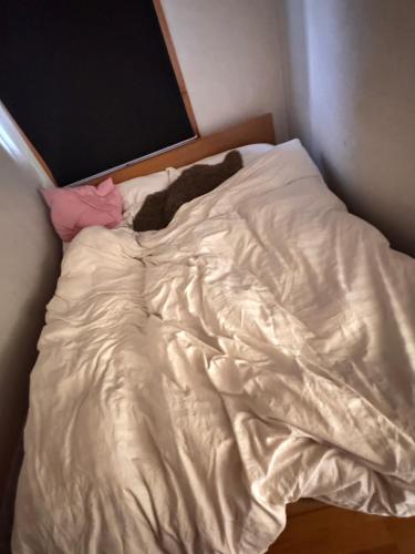 Ένα ή περισσότερα κρεβάτια σε δωμάτιο στο Guesthouse Centrum