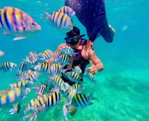 Hosté ubytování Machu Picchu - Barú