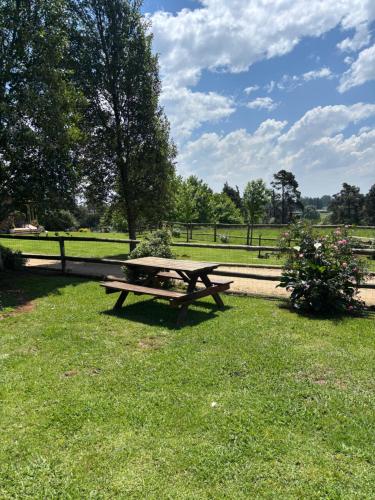 a picnic table in the grass in a park at Westview Estate in Shawlands