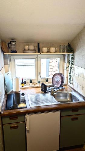 a kitchen with a sink and a counter top at Klosterblick in Gengenbach