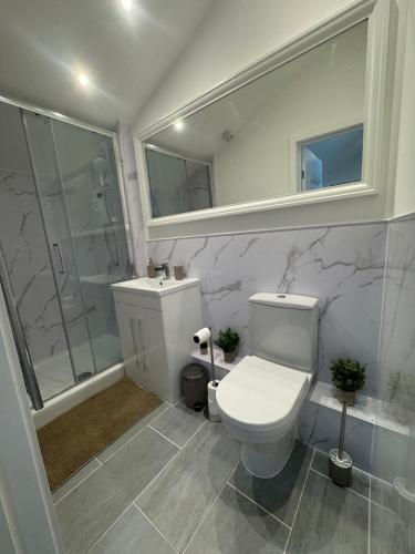 a white bathroom with a toilet and a shower at Cinema room apartment 2 in Basildon