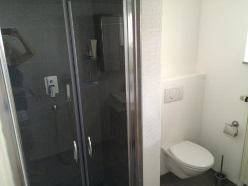 uma casa de banho com um chuveiro e um WC. em L&L Lodge Günding em Günding