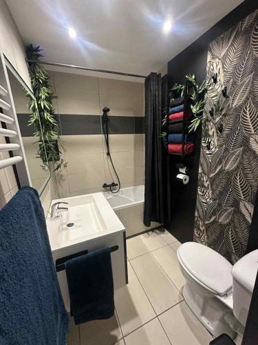 a bathroom with a sink and a toilet and a shower at Le Mas d 'Ecaussinnes in Écaussinnes-dʼEnghien