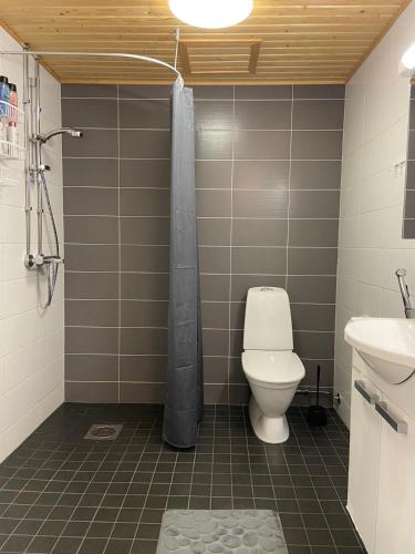 a bathroom with a toilet and a sink at Mimosa in Tampere