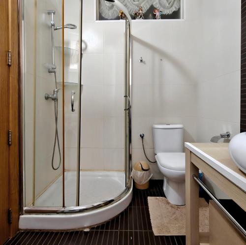 a bathroom with a shower and a toilet at Private Flatlet in a Villa with Pool - 6 Guests Max in Naxxar