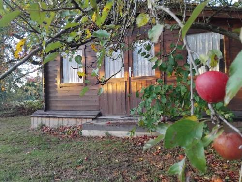 une petite cabane avec une fenêtre et un pommier dans l'établissement Chalet avec salle d'eau, à Chavagne