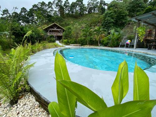 a swimming pool in the middle of a garden at Cabin -Treehouse La Tigra in San Gerardo