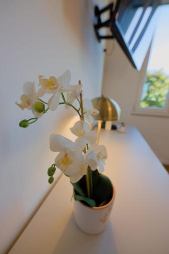 a white vase with white flowers sitting on a counter at Camera Nairobi - La Casa di Carta Affittacamere in Udine