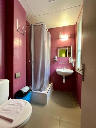 a pink bathroom with a shower and a sink at Résidences saint pierre in Lourdes