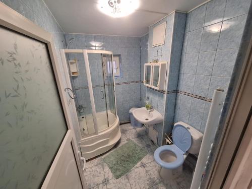 ein blaues Badezimmer mit Toilette und Waschbecken in der Unterkunft ApartamentG4 in Craiova