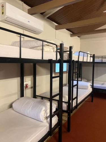 a group of bunk beds in a dorm room at The Peace Hostel in Arambol
