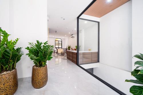 a hallway with potted plants and a mirror at HNT Homestay Đào Tấn - Near Lotte Center in Hanoi