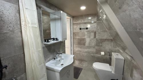 a bathroom with a sink and a toilet and a mirror at Cozy cottage with mountain view in K'obulet'i
