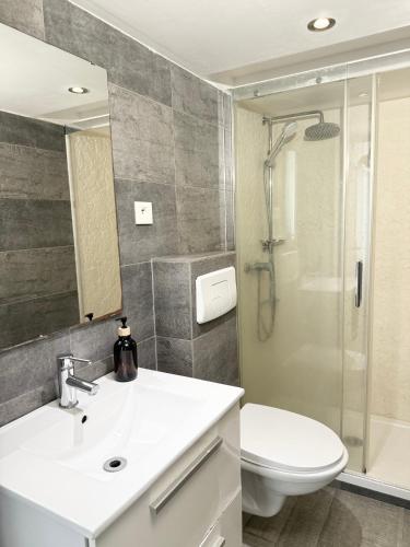 une salle de bains avec lavabo, toilettes et douche dans l'établissement Appartement central, à Nice