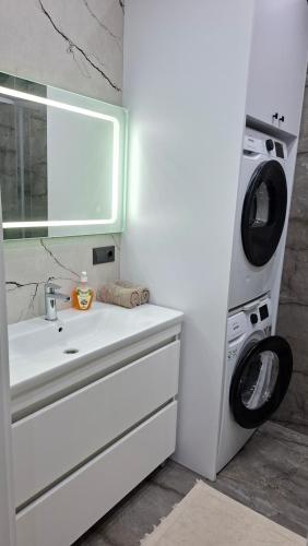 基希讷乌Транзит Сервис 4 Аэропорт- Кишинёв的带水槽和洗衣机的浴室