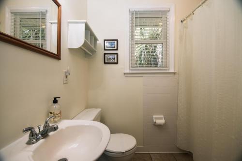 een badkamer met een wastafel, een toilet en een spiegel bij Rich Tymes in Edisto Island