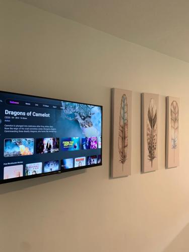 uma televisão pendurada na parede com quatro quadros sobre ela em SP Central Loft em Volos