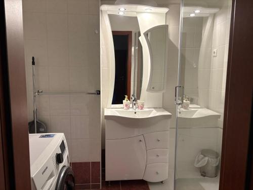 Et badeværelse på Flow Apartman