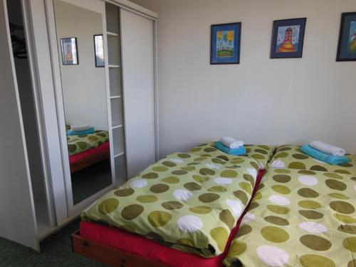 a bedroom with a bed and a mirror at Apartmány MK u MODRÉ KOČKY in Nové Hrady